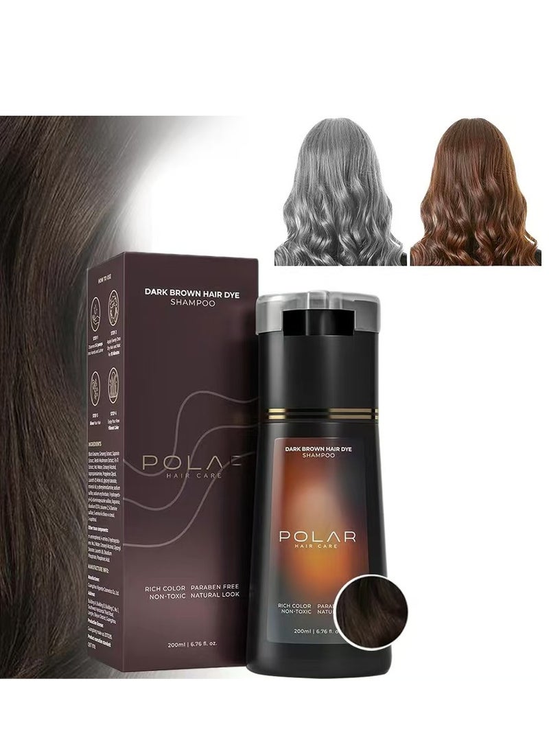 POLAR Hair Care Shampoo, Polar Hair Care Instant Dye Shampoo, Polar Hair Care Dye Shampoo (Dark Brown)  - Image 1