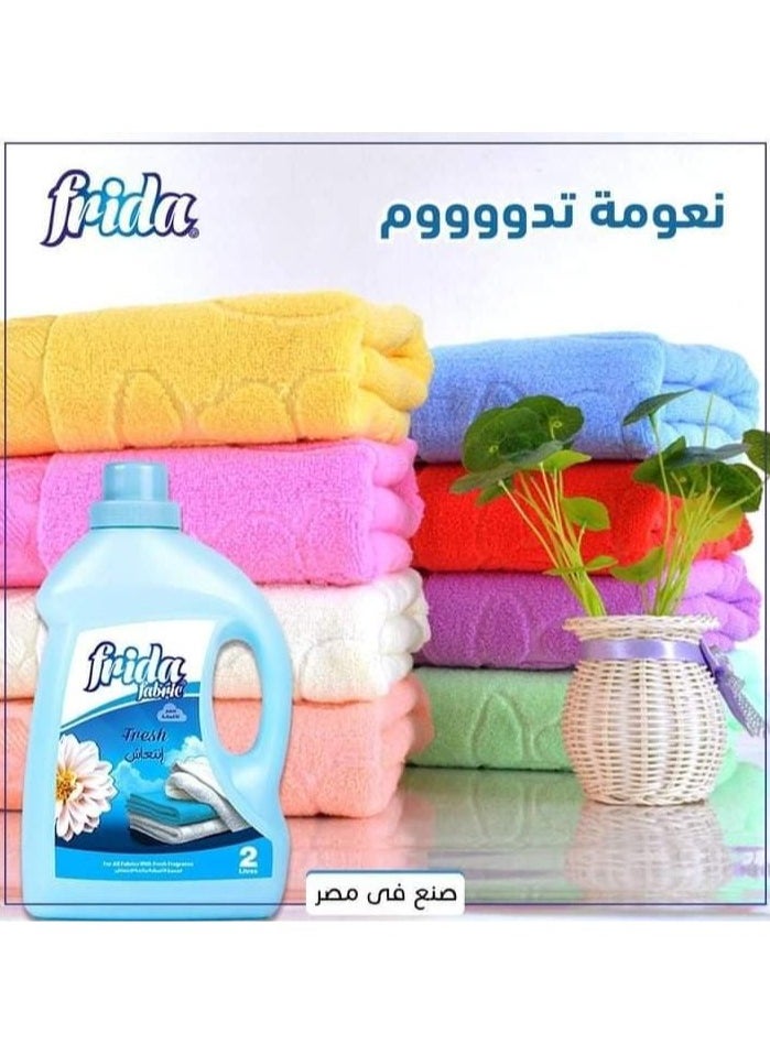 فريدا منعم الأقمشة المنعش 2 لتر - pzsku/Z4DC69E82036A4F53C123Z/45/_/1722075960/138b7282-f842-4f37-9bd8-eab9bc733486