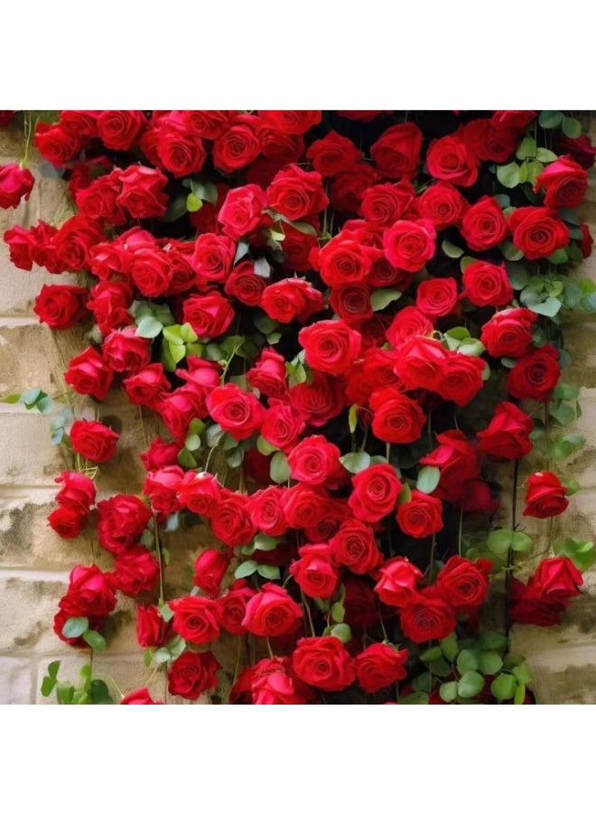 500 Climbing Rose Seeds Red Rose Seed  for Planting Outdoors Garden Fences,Pergolas & Trellises,Long-Blooming Vine - Image 1