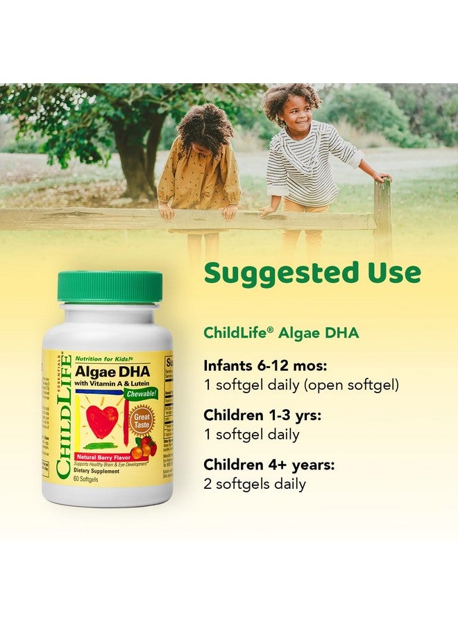 ChildLife Essentials Algae DHA for Kids - Omega 3 Supplement & Fish Oil Alternative - Algae Oil for Toddlers & Children - Natural Berry Flavor, 60 Chewable Softgels - Image 2