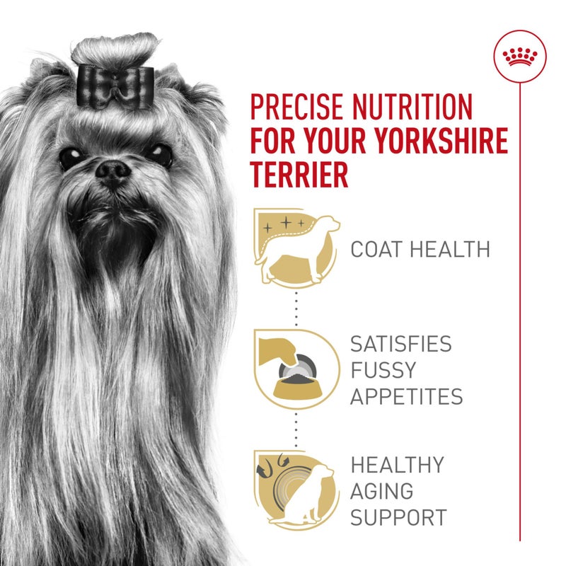 Royal Canin Breed Health Nutrition Yorkshire Terrier Adult Dry Dog Food, 2.5 lb Bag - Image 3