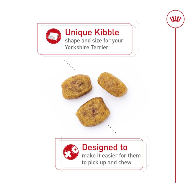 Royal Canin Breed Health Nutrition Yorkshire Terrier Adult Dry Dog Food, 2.5 lb Bag - Image 2