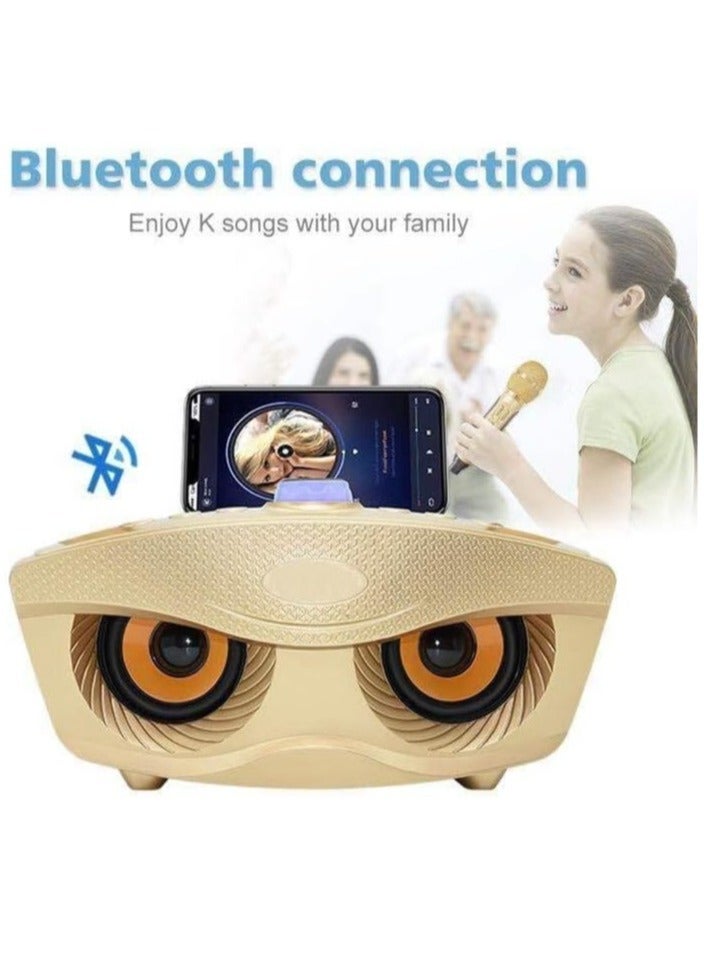 "Wireless Bluetooth Speaker with 2 Microphones SD306 Plus – Portable Karaoke Machine with Mixer System for DJ Parties, Church Events, Weddings, and Home Use" - Image 3