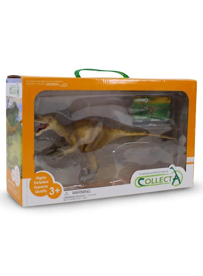 CollectA Velociraptor Figurine - Image 1