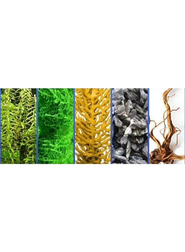 AOGO Aquarium Glue Fish Safety, Clear Reef Glue Gel for Plants, Moss, Coral, Rocks, Stone, and Wood, Freshwater and Saltwater Aquascape(50G) - Image 2