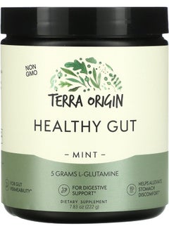 Terra Origin Healthy Gut Mint 7.83 oz (222 g) 