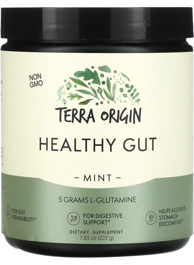 Terra Origin Healthy Gut Mint 7.83 oz (222 g)