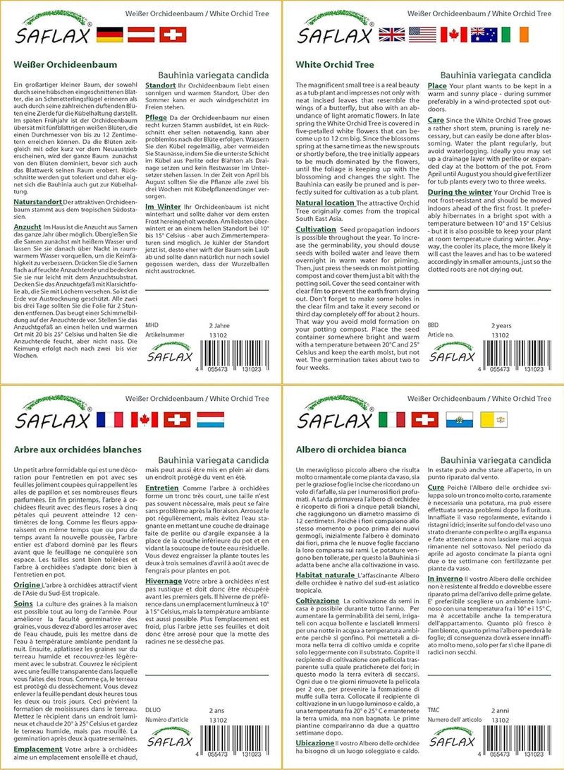 GGOOT Gift Set - White Orchid Tree - 5 Seeds - Bauhinia variegata Candida - Image 3