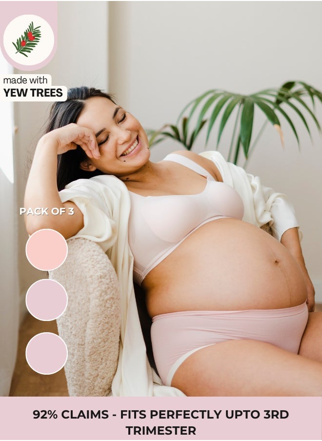 Intimate Queen Yew Tree Bae Maternity Briefs – Silky Soft, Antibacterial Calm, Full-Coverage Comfort for Bump & Skin (Pack of 3)  - Image 1