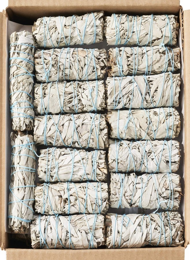 Blue River Sage 20 White Sage Smudge Sticks 4 Inch - Sustainably Grown Sage Bundles for Smudging, Cleansing Home Office, & Ceremony - Image 1