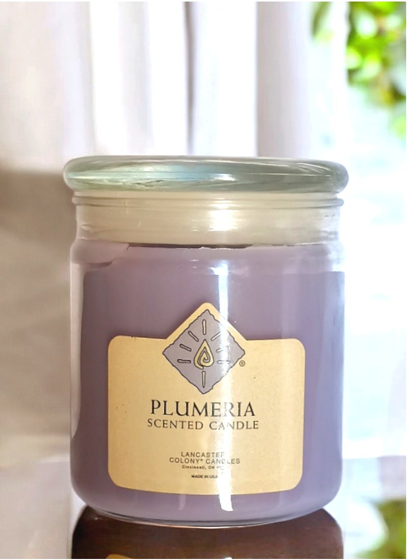 Lancaster Plumeria Scented Jar Candle with Lid 20 oz 566 g  - Image 5