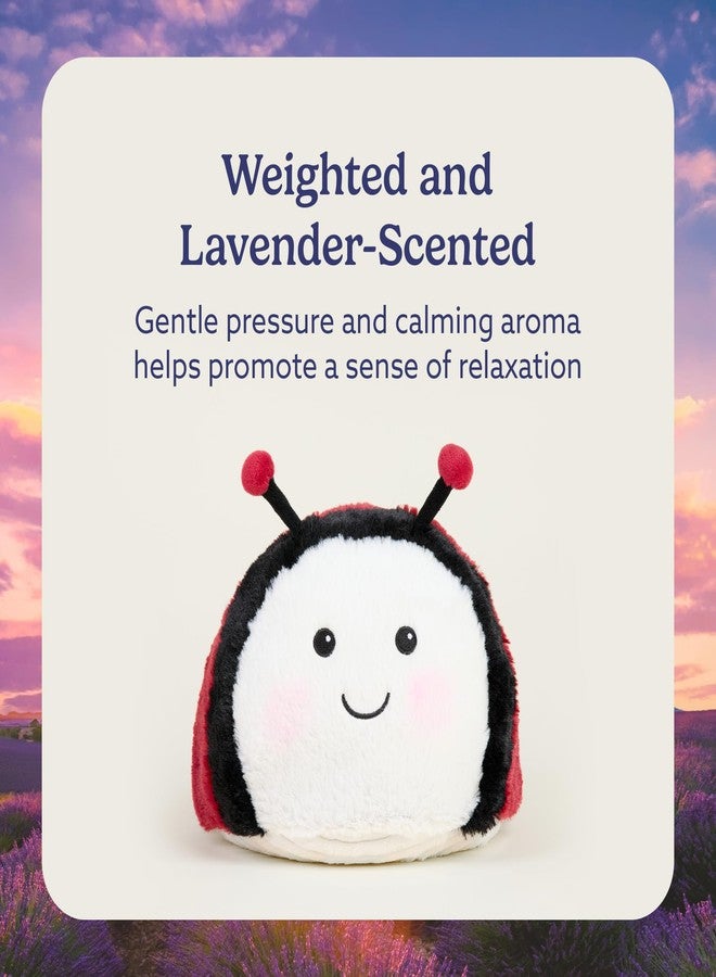 warmies Microwavable & Weighted Stuffed Animals, Ladybug - Heated Stuffed Animal Plushie for Warmth & Comfort - Cute Soft Plush Toys for Adults & Children (Boys, Girls, Babies & Toddlers) - Image 3