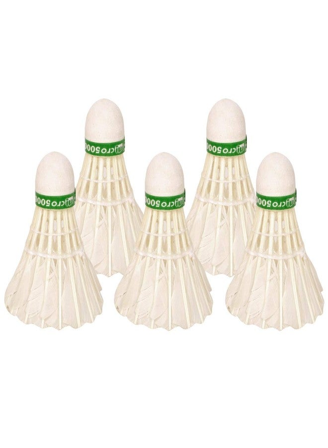 ASC مقبض مكوك الريش ASC - مايكرو 5000 (عبوة من 5 قطع) - Image 2