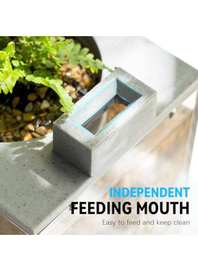 يُسلِّم حوض أسماك صغير للأسماك الاستوائية، مزود بمضخة هواء، ووعاء للزراعة المائية، مناسب لتزيين المنزل أو المكتب، 31.5 × 13 × 16.5 سم - Image 3