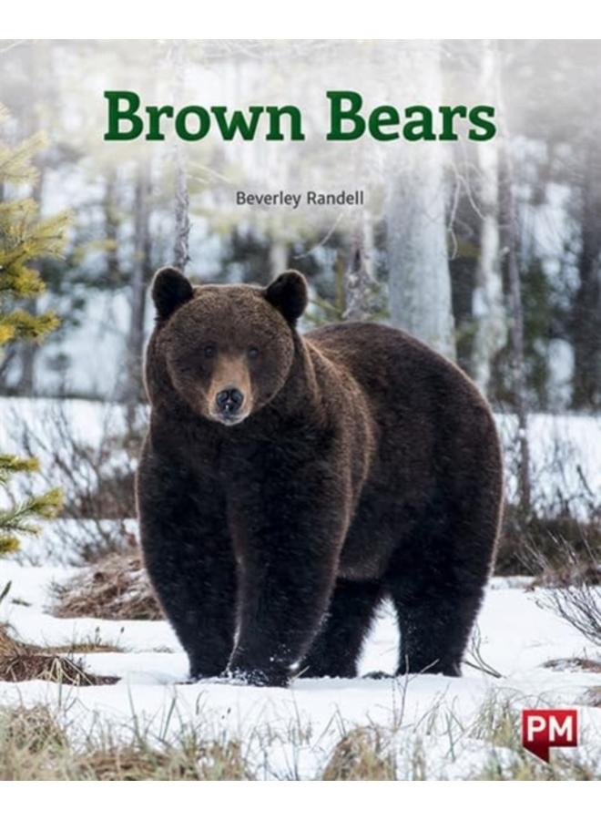 BROWN BEARS 