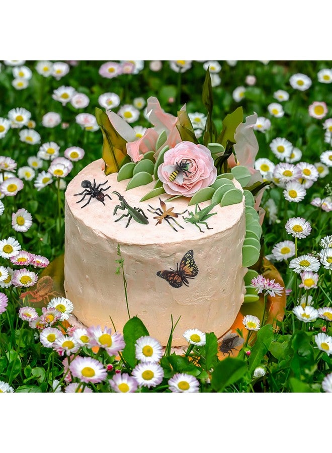 SIENON Realistic Insect Toys Figures-12Pcs Large Plastic Bugs Figurines Set with Ladybug Bee Butterfly Ant Cricket Mantis Scorpion Spider-School Project Halloween Insect Theme Birthday Party Favors - Image 4