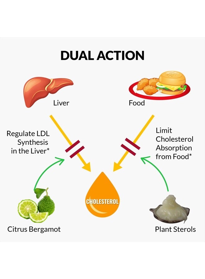 UpNourish Citrus Bergamot Cholesterol Supplement 120ct - Triglyceride Support with Plant Sterols, CoQ10, Omega 3, Olive Leaf Extract, Turmeric Curcumin, Black Garlic, Sterols and Stanols Supplement - Image 5