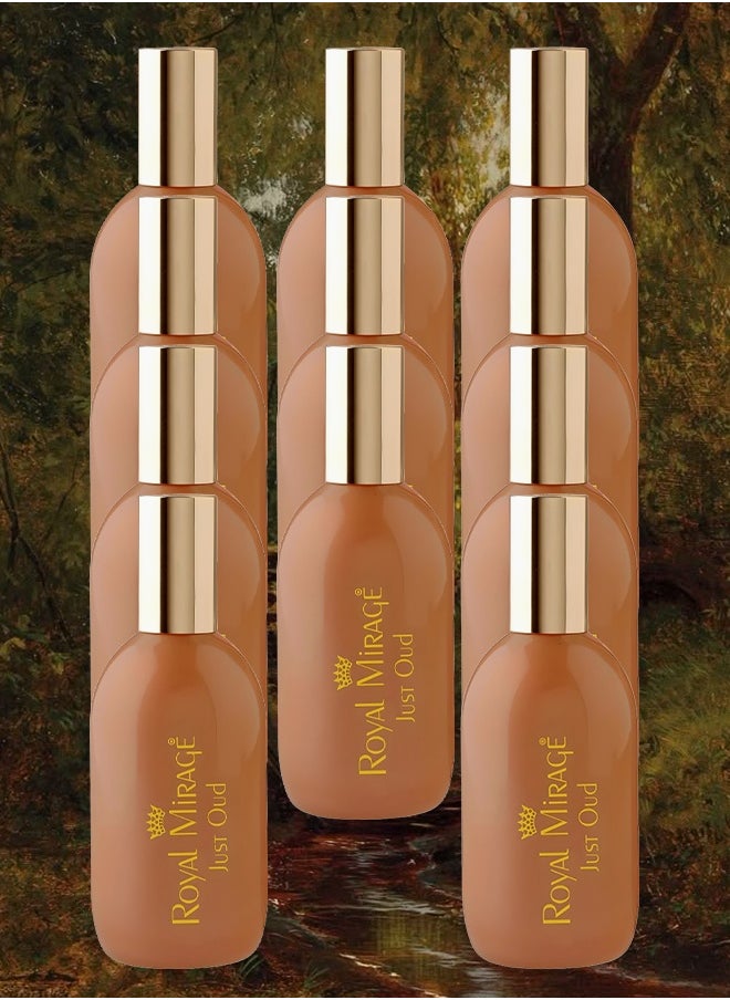ROYAL MIRAGE 11 Pieces Royal Mirage Just Oud Perfume For Unisex 120ml EDC  - Image 1
