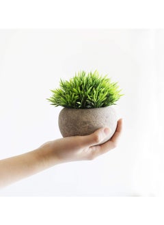 Rock Pow Mini Artificial Plants Set 2 Pcs Small Fake Plants for Office Kitchen Bathroom Bedroom Mantle Shelf Living Room Faux Plants in Pots Modern Farmhouse Plants Home Decor  - Image 2