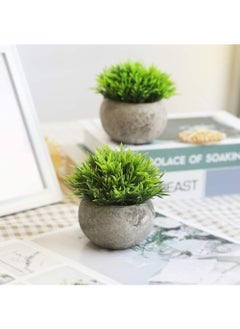 Rock Pow Mini Artificial Plants Set 2 Pcs Small Fake Plants for Office Kitchen Bathroom Bedroom Mantle Shelf Living Room Faux Plants in Pots Modern Farmhouse Plants Home Decor  - Image 4