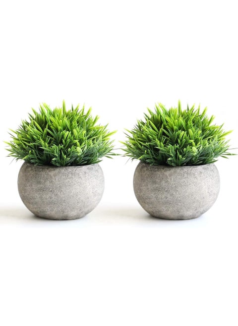 Mini Artificial Plants Set 2 Pcs Small Fake Plants for Office Kitchen Bathroom Bedroom Mantle Shelf Living Room Faux Plants in Pots Modern Farmhouse Plants Home Decor