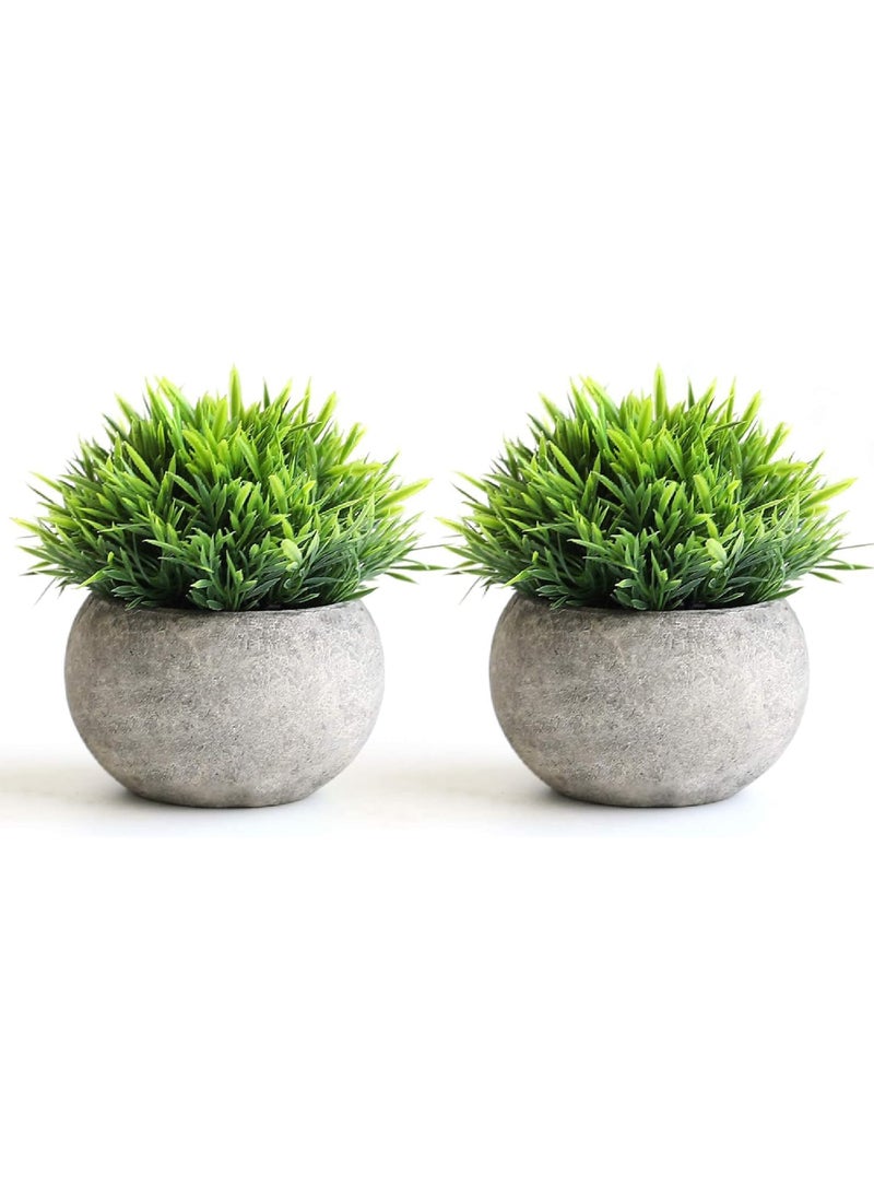 Rock Pow Mini Artificial Plants Set 2 Pcs Small Fake Plants for Office Kitchen Bathroom Bedroom Mantle Shelf Living Room Faux Plants in Pots Modern Farmhouse Plants Home Decor  - Image 1