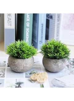 Rock Pow Mini Artificial Plants Set 2 Pcs Small Fake Plants for Office Kitchen Bathroom Bedroom Mantle Shelf Living Room Faux Plants in Pots Modern Farmhouse Plants Home Decor  - Image 5