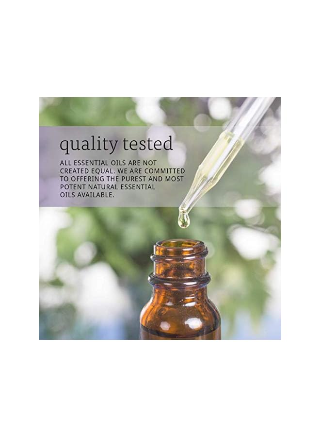 now زيت الروزماري 30 مل - Image 2