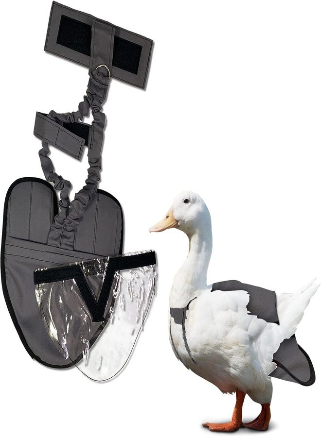 Holster Wrap-Around Duck Diaper with Removable Liner & Adjustable Tab - Pekin Duck Diapers for Pet Ducks, Bird Diaper, Duck Accessories - Durable, Secure Fit, Easy-to-Wear - Made in USA - Gray - Image 1