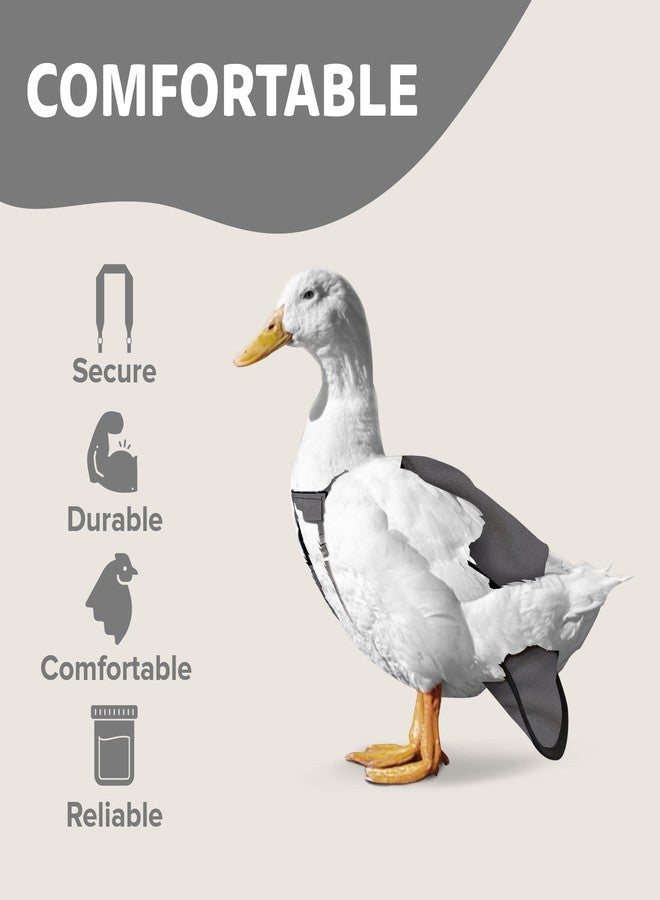 Holster Wrap-Around Duck Diaper with Removable Liner & Adjustable Tab - Pekin Duck Diapers for Pet Ducks, Bird Diaper, Duck Accessories - Durable, Secure Fit, Easy-to-Wear - Made in USA - Gray - Image 4