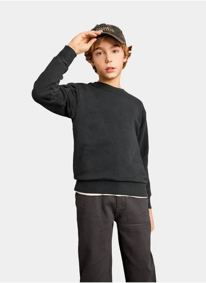 DeFacto Regular Fit Solid Crew Neck Sweatshirt by Styli