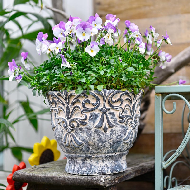 Sungmor 7.3 Inch Cement Plant Pot for Plants, Succulent Planter with Embossed Design, Vintage Concrete Flowerpots with Drainage Hole, Decorative Orchid Houseplant Pot Indoor Outdoor Plant Container - Image 4