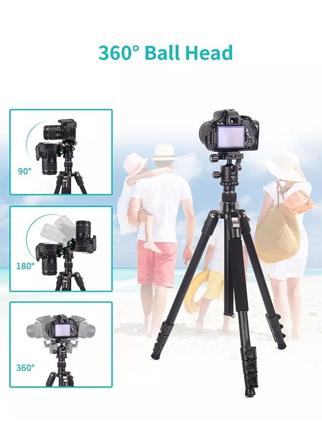Jmary 2‑IN‑1 KT‑325 + NB30 Portable Monopod Tripod – 360° Pan Ball Head, Quick‑Release Plate, Aluminum Legs (465 mm–1 645 mm), Anti‑Slip Hook, Compact for DSLR, Mobile & Tablet  - Image 3