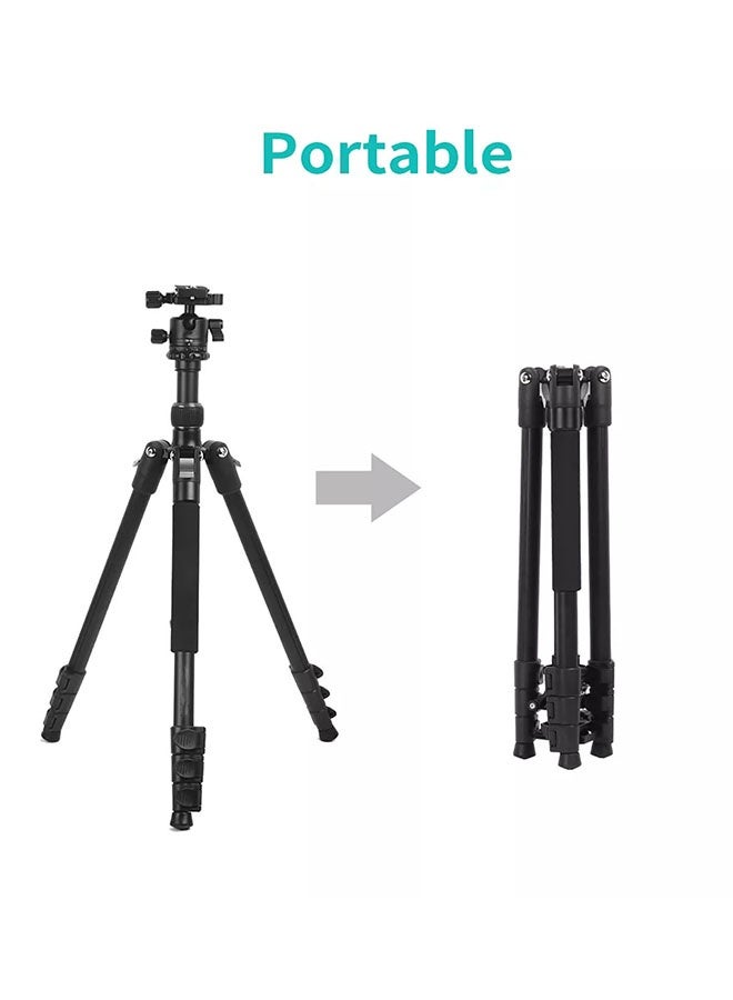 Jmary 2‑IN‑1 KT‑325 + NB30 Portable Monopod Tripod – 360° Pan Ball Head, Quick‑Release Plate, Aluminum Legs (465 mm–1 645 mm), Anti‑Slip Hook, Compact for DSLR, Mobile & Tablet  - Image 2
