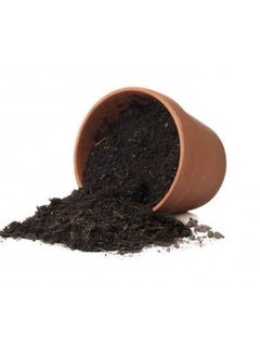 Vsell24 Bio Tech Potting Soil With Micro Nutirients For Indoor And AC Rooms Soil For Home Gardens Made In UAE 10L(3Kg)