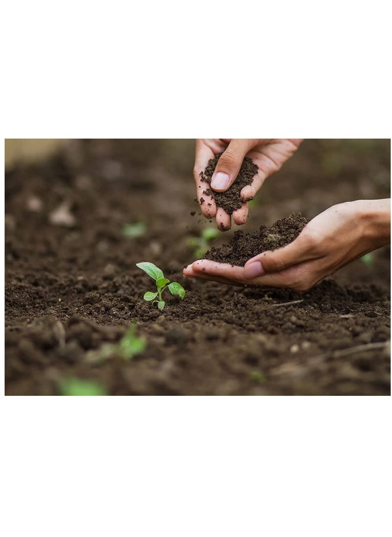 vsell24 - Vsell24 Bio Tech Potting Soil With Micro Nutirients For Indoor And AC Rooms Soil For Home Gardens Made In UAE 10L(3Kg) - Image 1