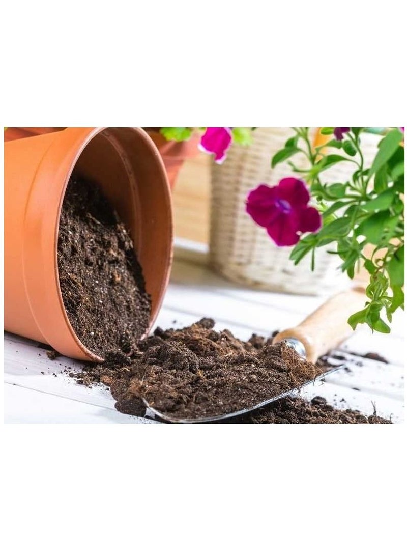 vsell24 - Vsell24 Bio Tech Potting Soil With Micro Nutirients For Indoor And AC Rooms Soil For Home Gardens Made In UAE 10L(3Kg) - Image 1