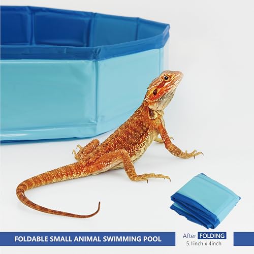 Goblfu Bearded Dragon Foldable Bath Pool with Bath Brush Bathrobe Towel Spray Pot and Tweezer for Puppy Small Dogs Cats Blue 6 n 1 Set - Image 3