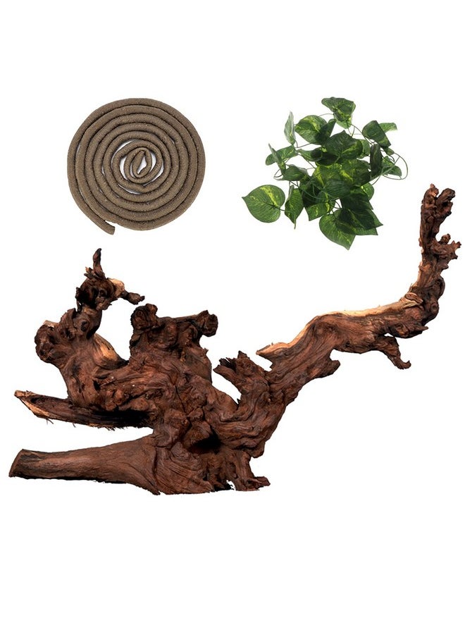 Hamiledyi Reptile Driftwood Decoration Natural Coral Driftwood Branches For Aquarium Reptiles Trunk Log Ornament Bendable Jungle Climbing Vines Decor For Bearded Dragon Lizad Amphibian Fish Tank  - Image 1