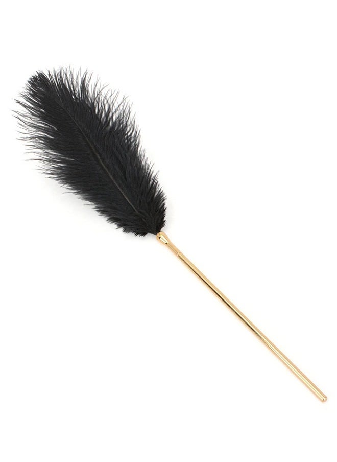 Ostrich Feather Dust Collector, Soft & Flexible, 100% Pure Ostrich Feathers (43.5cm)