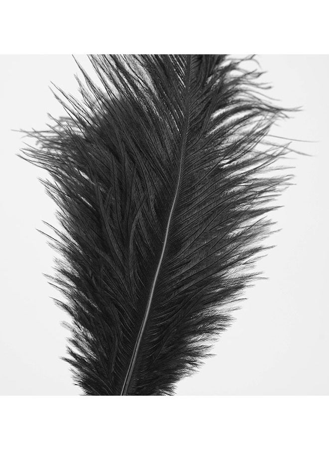 Ostrich Feather Dust Collector, Soft & Flexible, 100% Pure Ostrich Feathers (43.5cm)