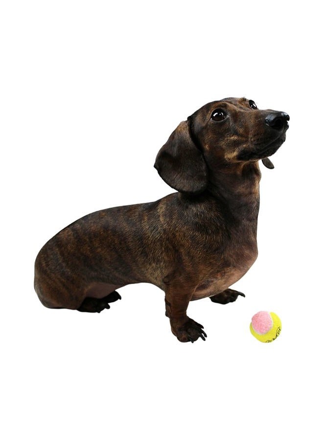 Midlee X-Small Dog Tennis Balls 1.5" Pack of 12 (Pink/Yellow, 1.5 inch) - Image 4