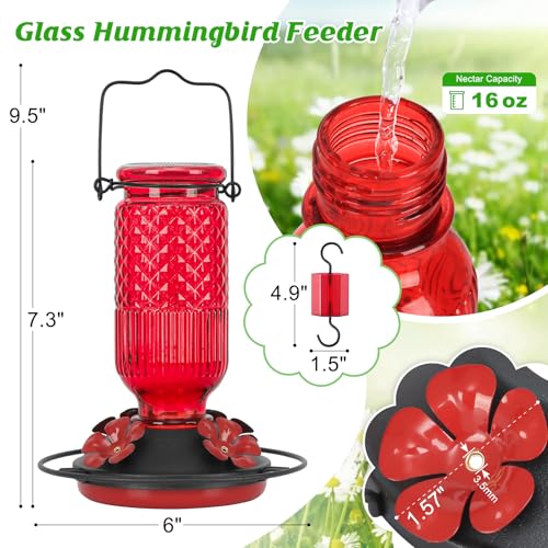 FEED GARDEN Glass Hummingbird Feeder for Outdoors Hanging, 16 OZ Humming Bird Feeders with 4 Bee Guard Feeding Ports & Built-in Ant Moat, Hummingbird Gifts for Mom Bird Feeder for Outside, Red,2 Pack - Image 2