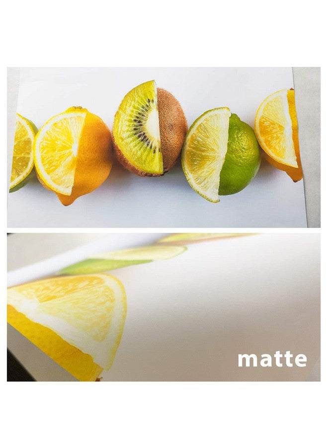 كولا بيبر ورق نفث الحبر الرقيق Koala مقاس 13 × 19 بوصة ورق غير لامع 100 ورقة 6.5 مل متوافق مع طابعات نفث الحبر - Image 5