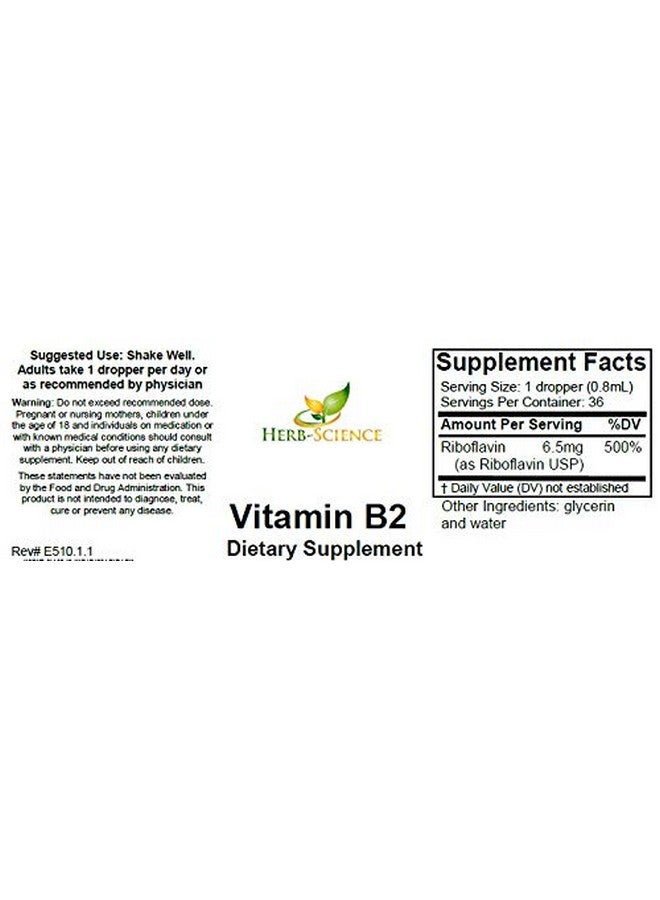 Herb-Science Vitamin B2 Supplement - Riboflavin Drops Liquid Extract - for Headache Relief, Natural Energy - Support for Hair, Skin, Nail Health,Collagen Production - Non-Alcoholic - 1 Fl.oz. - Image 3