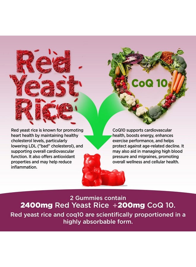Hollegend هوليجيند أرز الخميرة الحمراء مع جوميز كوكيو 10 خالي من السكر، أرز خميرة حمراء عضوي 2400 ملغ لمكملات خفض الكوليسترول، معزز بإنزيم كيو 10 200 ملغ لدعم صحة القلب، 60 حبة - Image 3