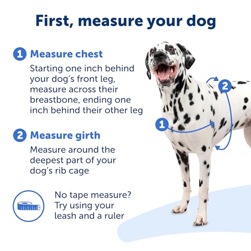 PetSafe Deluxe Easy Walk Harness - Trainer-Trusted Dog Chest Harness with Breathable Martingale Loop Design - Helps Stop Pulling with No Choking & Gagging - Medium/Large - Rose - Image 5