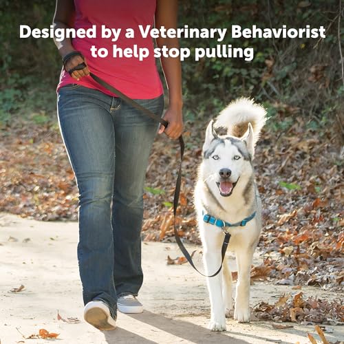 PetSafe Deluxe Easy Walk Harness - Trainer-Trusted Dog Chest Harness with Breathable Martingale Loop Design - Helps Stop Pulling with No Choking & Gagging - Medium/Large - Rose - Image 3