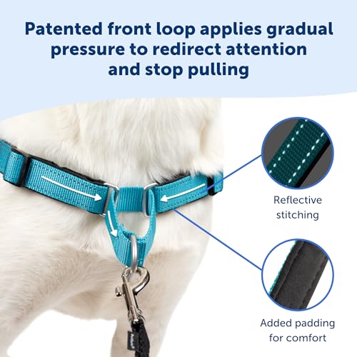 PetSafe Deluxe Easy Walk Harness - Trainer-Trusted Dog Chest Harness with Breathable Martingale Loop Design - Helps Stop Pulling with No Choking & Gagging - Medium/Large - Rose - Image 4