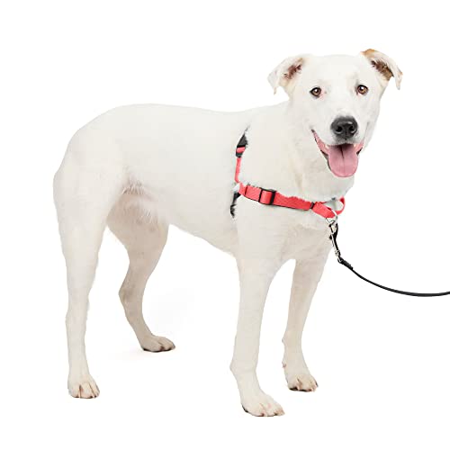 PetSafe Deluxe Easy Walk Harness - Trainer-Trusted Dog Chest Harness with Breathable Martingale Loop Design - Helps Stop Pulling with No Choking & Gagging - Medium/Large - Rose - Image 1
